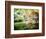 Zen Garden-Viviane Fedieu Daniel-Framed Photographic Print