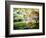 Zen Garden-Viviane Fedieu Daniel-Framed Photographic Print