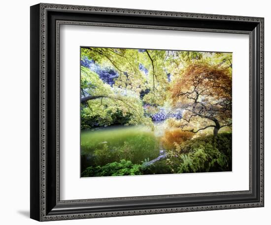 Zen Garden-Viviane Fedieu Daniel-Framed Photographic Print