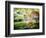 Zen Garden-Viviane Fedieu Daniel-Framed Photographic Print