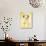 Zen Gumbootdog-Rachael Hale-Photo displayed on a wall