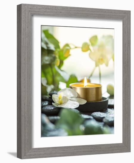 Zen Orchid and Candle-null-Framed Photographic Print