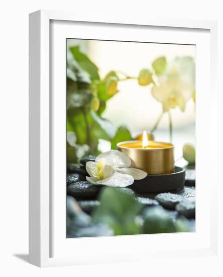 Zen Orchid and Candle-null-Framed Photographic Print