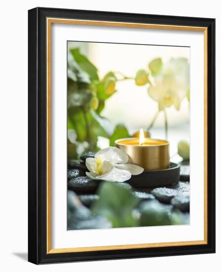 Zen Orchid and Candle-null-Framed Photographic Print