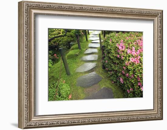 Zen Pathway-Yury Zap-Framed Photographic Print