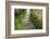 Zen Pathway-Yury Zap-Framed Photographic Print