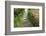 Zen Pathway-Yury Zap-Framed Photographic Print