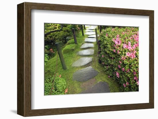 Zen Pathway-Yury Zap-Framed Photographic Print