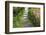 Zen Pathway-Yury Zap-Framed Photographic Print