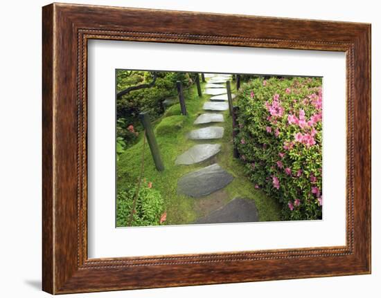 Zen Pathway-Yury Zap-Framed Photographic Print