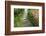 Zen Pathway-Yury Zap-Framed Photographic Print