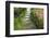 Zen Pathway-Yury Zap-Framed Photographic Print