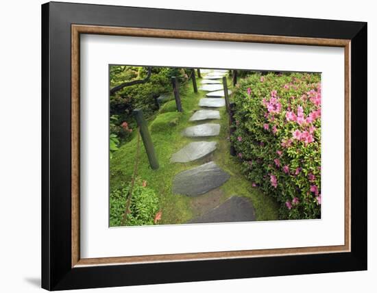 Zen Pathway-Yury Zap-Framed Photographic Print