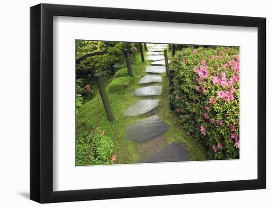 Zen Pathway-Yury Zap-Framed Photographic Print