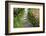 Zen Pathway-Yury Zap-Framed Photographic Print