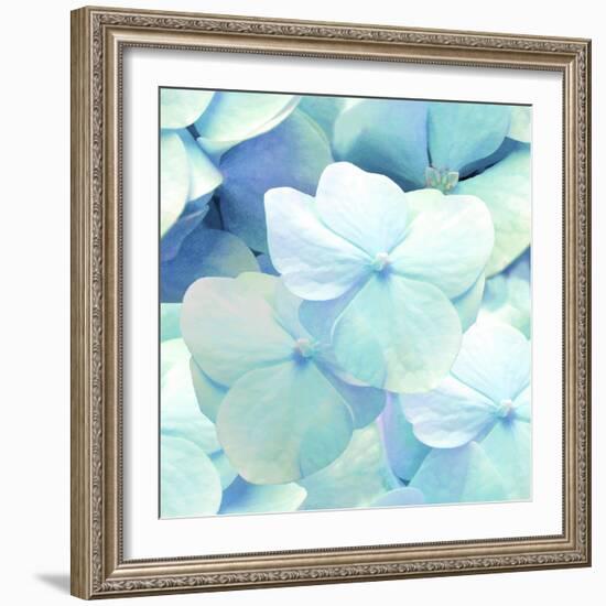 Zen Pattern-Tina Lavoie-Framed Giclee Print