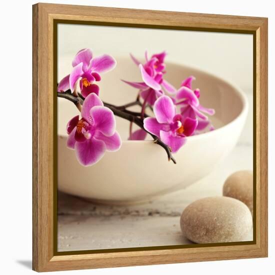 Zen Pebble-null-Framed Premier Image Canvas