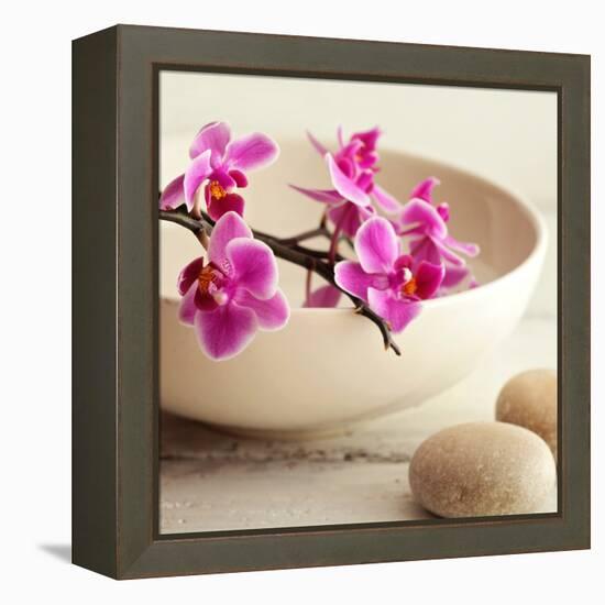 Zen Pebble-null-Framed Premier Image Canvas