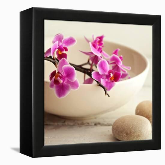 Zen Pebble-null-Framed Premier Image Canvas