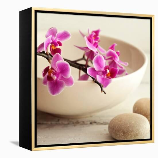 Zen Pebble-null-Framed Premier Image Canvas