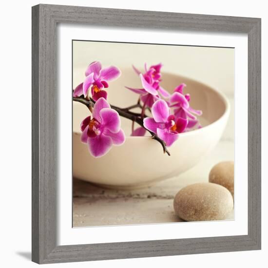 Zen Pebble-null-Framed Photographic Print