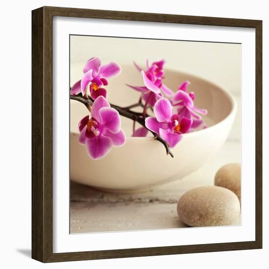 Zen Pebble-null-Framed Photographic Print