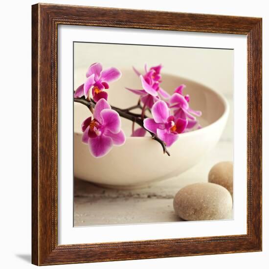 Zen Pebble-null-Framed Photographic Print