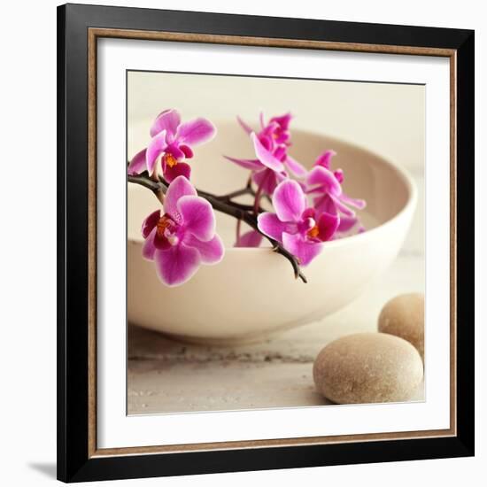 Zen Pebble-null-Framed Photographic Print