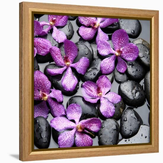 Zen Pebbles-null-Framed Premier Image Canvas