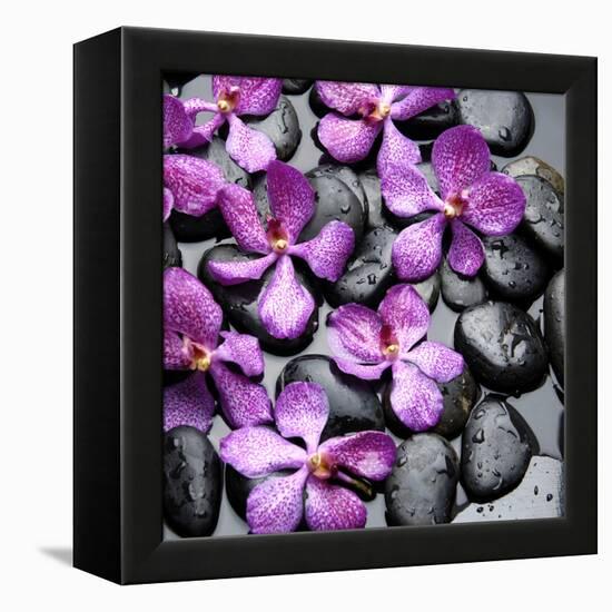 Zen Pebbles-null-Framed Premier Image Canvas