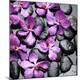 Premium Photographic Print