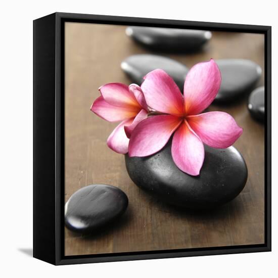 Zen Pebbles-null-Framed Premier Image Canvas