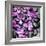 Zen Pebbles-null-Framed Photographic Print