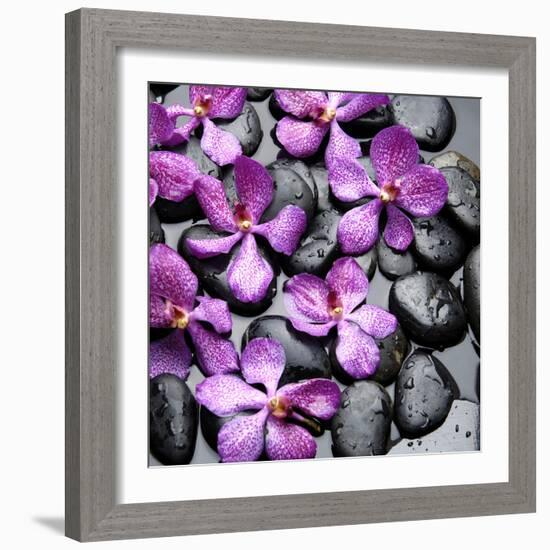 Zen Pebbles-null-Framed Photographic Print