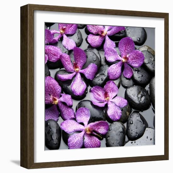 Zen Pebbles-null-Framed Photographic Print