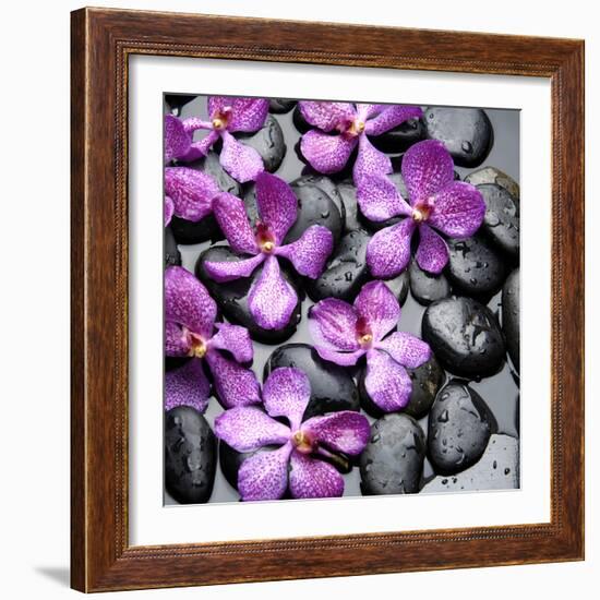 Zen Pebbles-null-Framed Photographic Print