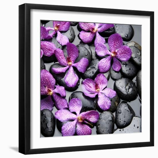 Zen Pebbles-null-Framed Photographic Print