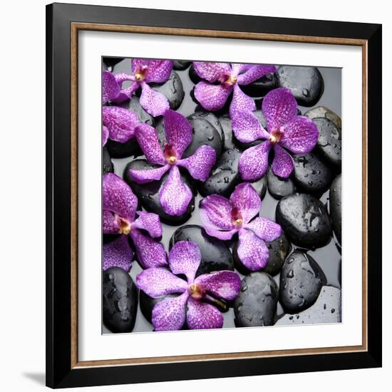 Zen Pebbles-null-Framed Photographic Print