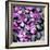 Zen Pebbles-null-Framed Photographic Print