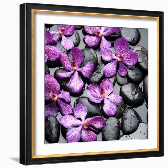 Zen Pebbles-null-Framed Photographic Print