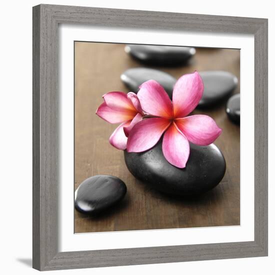 Zen Pebbles-null-Framed Photographic Print