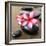 Zen Pebbles-null-Framed Photographic Print