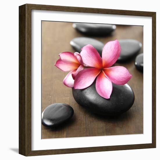 Zen Pebbles-null-Framed Photographic Print