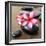 Zen Pebbles-null-Framed Photographic Print