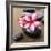 Zen Pebbles-null-Framed Photographic Print