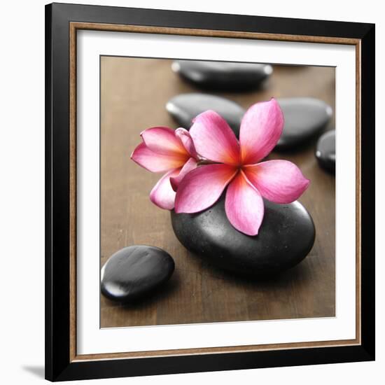 Zen Pebbles-null-Framed Photographic Print