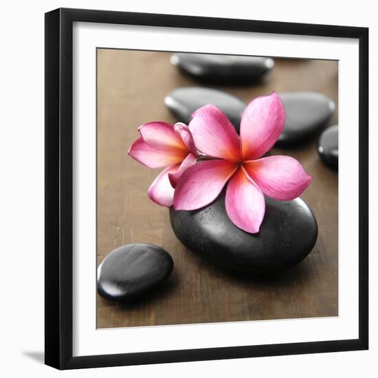 Zen Pebbles-null-Framed Photographic Print