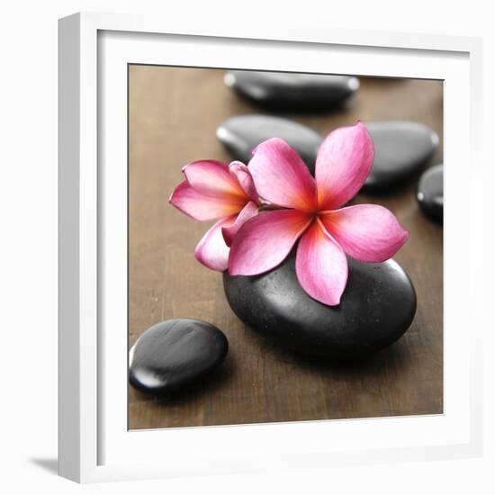 Zen Pebbles-null-Framed Photographic Print