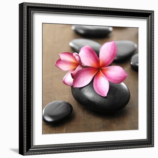 Zen Pebbles-null-Framed Photographic Print