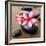 Zen Pebbles-null-Framed Photographic Print